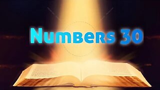 Numbers 30-NIV Bible Reading
