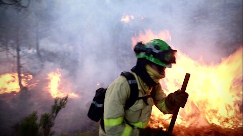 La UME y medios de Transición Ecológica colaboran contra el incendio de Málaga
