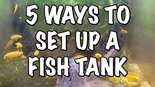 5 Ways to set up an Aquarium