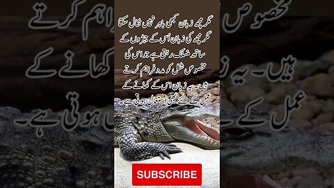 crocodile tongue | interesting facts | funny quotes | joke in Urdu