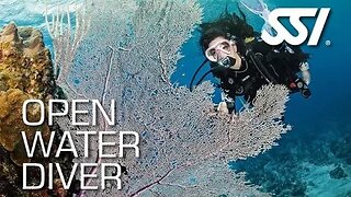 Open Water Scuba Class with Benjamin Hadfield - Part 3 - October 2023