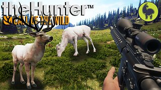 A Rare Sight (rocky mountain elk edition) Hunt Club Beta | theHunter: Call of the Wild (PS5 4K)