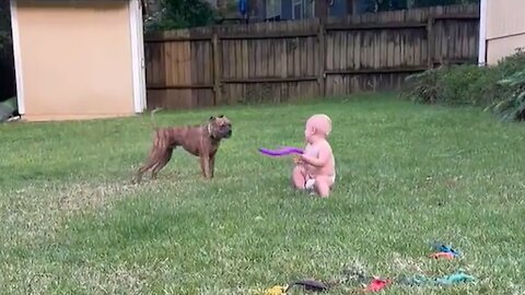 Baby And Puppy Besties Love Playing Outside Together