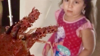 Crayfish Prank