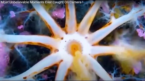 Most Unbelievable Moments Ever Caught in Camera