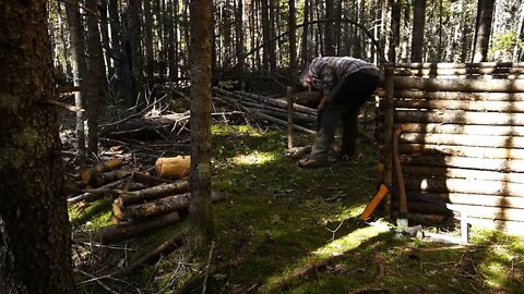 13+The jungle builds a survival cabin