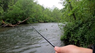 Wet and Wild trout Fishing Part Deux