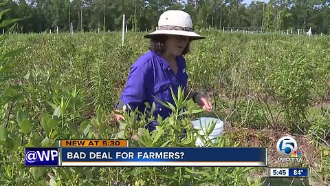 Bad deal for farmers?