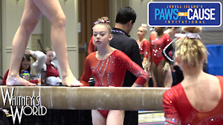 Whitney Bjerken | 3rd Level 10 Gymnastics Meet | Beam Champion