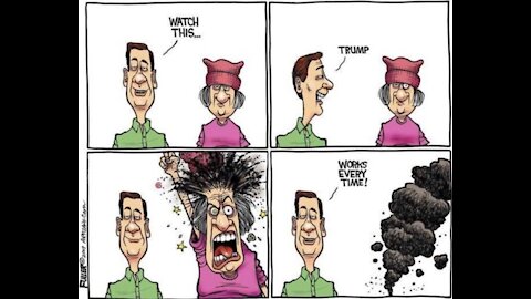 TDS Trump Derangement Syndrome