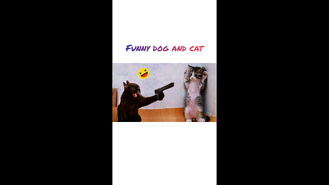 Funny dog and cats 2023
