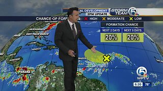 Update on the Tropics 8/3/19