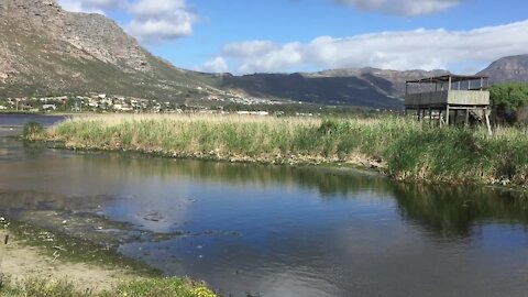 CAPE TOWN - South Africa - Canal Nets in Sand Rive (Video) (2pe)