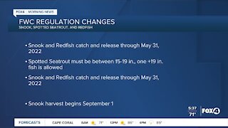 FWC regulation changes on Snook, Seatrout and Redfish