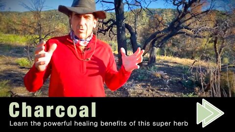 Shocking Benefits of Charcoal