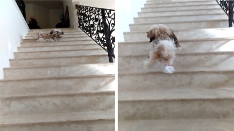 So precious in her onesie, and going up these stairs. Her "you coming" face is too much!!