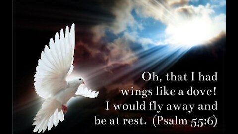 Oh If I Had Wings Like A Dove - Faith (Pistis)