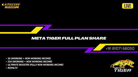 Non working income in Meta Tiger Call 81071 68050 #metatiger