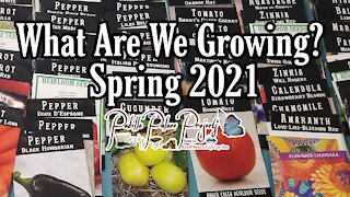 What we are growing | Spring 2021 | Zone 9b Container Gardening