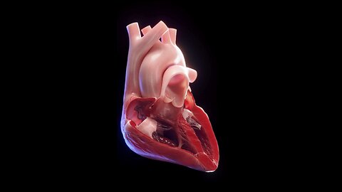 The best animation video of heart function | #heart #animation #blood