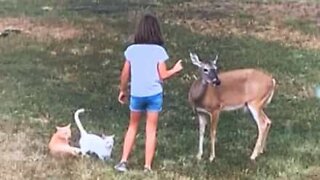 Texas girl shares beautiful bond with animals
