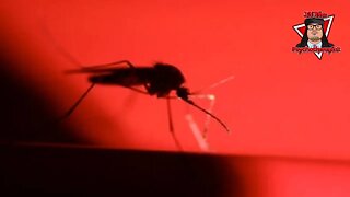 China’s Research with Mosquitos May Lead to Using Mosquitos in a Bioweapon Delivery Platform