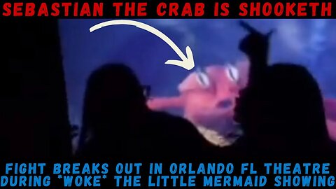 Fight Breaks Out in Orlando Florida Movie Theatre During Showing of WOKE The Little Mermaid