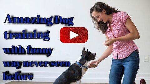 How to Train your puppy in funny way|How to train your dog|
