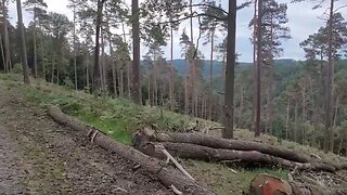 Joggen in der Oberzent im Odenwald, Jogging ASMR / A jog thru a German forest in Hesse