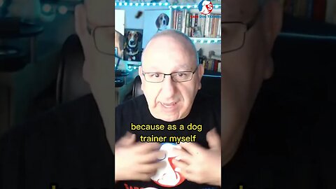 Hiring A Dog Trainer Information