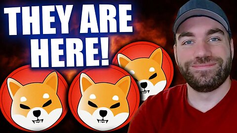 SHIBA INU COIN - SHIB Devs Drop More News! Major Early Opportunities, But Beware of THIS!