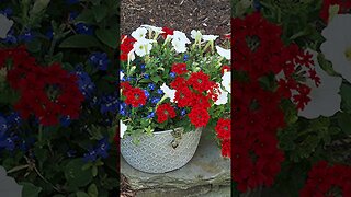 Memorial Day inspired flower arrangements🌹#shorts