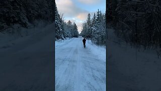 Family walks in the mountains