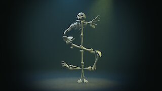 202124.Decorative bones - money