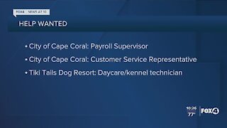City of Cape Coral and Tiki Tails Dog Resort hiring