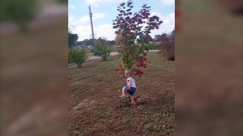 "Toddler Girl Pretends To Pee Like Her Dog"