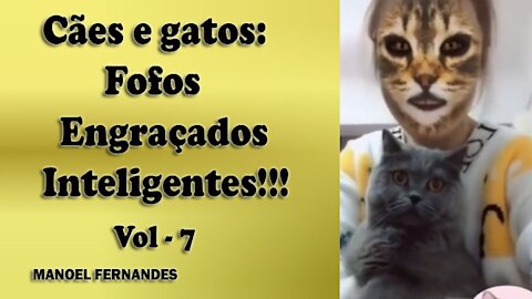 Cães e gatos: Fofos, engraçados e inteligentes!!! vol - 7