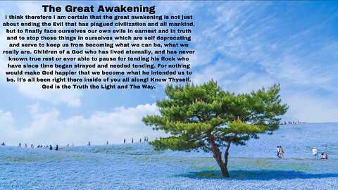 The Great Awakening #2
