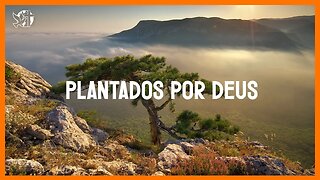 Jesus vai voltar | PLANTADOS POR DEUS | Bispa Cléo