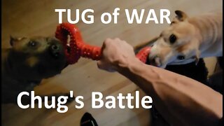 Tug of War: Chug's Battle