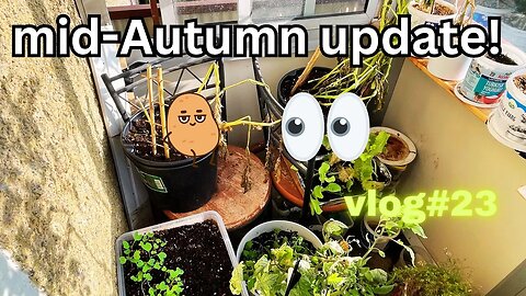 mid Autumn update