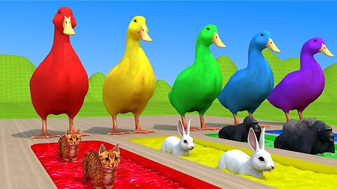 5 Giant Duck Cartoon,Cat,Tiger,Dinosaur,Gorilla,Elephant Animal Crossing Fountain and unexpected End