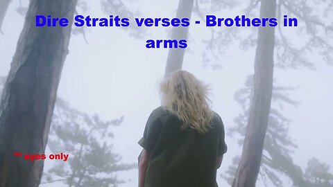 Dire Straits - Brothers in arms - versos livres traduzidos