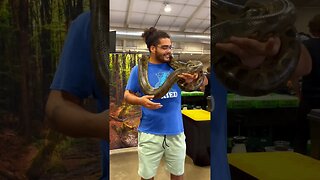 First Time At A Reptile Show