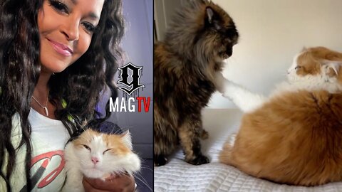 Claudia Jordan's Cats Get Into A Lovers Quarrel! 💔