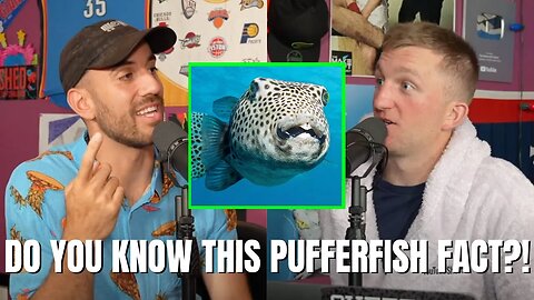 Bet You Didn't Know This About Pufferfish?! 🐡😳