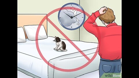 Simple Trick To Calm Down a Cat