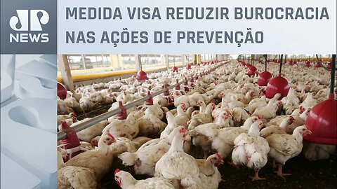 Governo de SP decreta estado de emergência por gripe aviária