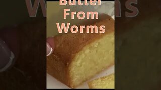 Butter Made From Bugs, Would You Eat It?
