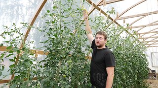 Why Watering Less Can Mean Stronger Plants